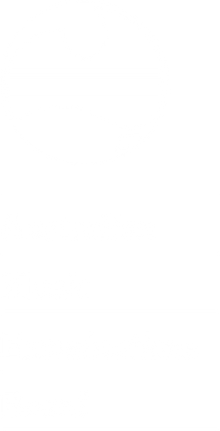 AMEB Logo